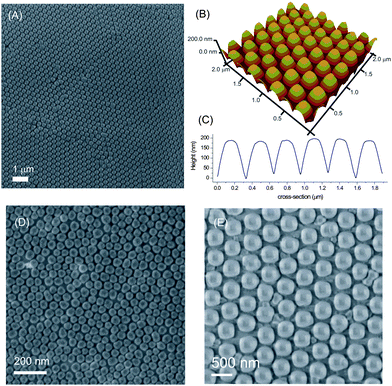 SEM (A) and AFM image (B) and height profile (C) of the PMMA nanostructure replicated from the patterned silicon masters fabricated from the 300 nm particles after 1 min of RIE with SF6/O2. SEM images of PMMA nanostructures replicated from the patterned silicon masters fabricated using 60 nm (D) and 500 nm (E) particles.