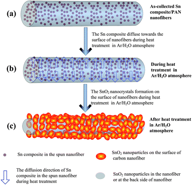 Schematic diagram showing the proposed growth mechanism for CNFs decorated with SnO2 nanocrystals during the heat treatment in the Ar/H2O atmosphere.