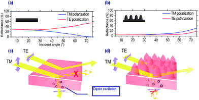 (a, b) Reflectance of TE- and TM-polarized light plotted with respect to the angle of incidence for (a) flat Si and (b) NCP moth eye structures. (c, d) Schematic representations of the reflective behavior of polarized light and the oscillating electric dipole in (c) flat Si and (d) NCP moth eye structures.