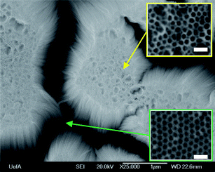 Top-view FESEM image of Ta2O5 nanotubes formed after 90 s of Ta anodization at 14.5 V (vs. Pt counter electrode) in 16.4 M H2SO4 + 2.9 M. Scale bars of higher magnification images shown in the insets are 100 nm in length.