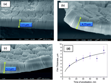 Cross-sectional FESEM views of Ta2O5 nanotubes formed after 10 min of Ta anodization at 14.5 V (vs. Pt counter electrode) in 16.4 M H2SO4 + (a) 0.51 M, (b) 0.85 M, and (c) 1.17 M HF, while (d) shows the FESEM-determined oxide film thickness as a function of anodization time of Ta in 16.4 M H2SO4 + 0.51 M HF.