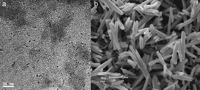 (a) TEM image of lysine-capped Au nanoparticles with a size of 2–5 nm and (b) SEM image of ZnO microrods.