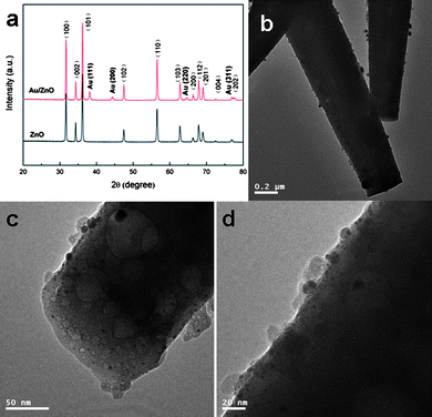 (a) XRD patterns of ZnO microrods before and after assembly of Au nanoparticles and (b–d) TEM images of different magnification of Au nanoparticles decorated ZnO microrods.