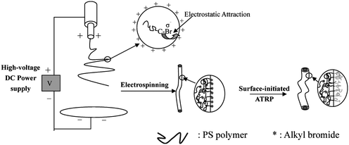 Schematic illustration of the preparation of core–shell nanofibers from combined electrospinning and surface-initiated atom transfer radical polymerization. The inset shows schematically migration of the alkyl bromide groups of PS to the liquid surface under the electrostatic attraction. Reprinted from ref. 46.