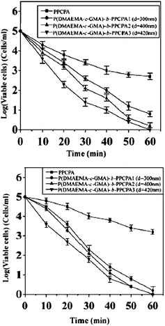 Antibacterial efficacy of 50 mg of PPCPA polymers and self-quaternized nanofibers electrospun from P(DMAEMA-c-GMA)-b-PPCPA copolymers in contact with (a) 50 ml of S. aureus suspension (105 CFU ml−1) and (b) 50 ml of of E. coli suspension (105 CFU ml−1). Reprinted from ref. 52.