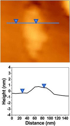 AFM image of single-layer ferrocene–graphene oxide (FGO) with the corresponding height profile. Topographical thickness of single-layer FGO is 0.91 nm.