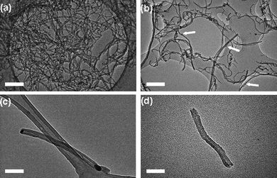 Bright field transmission electron micrographs of carbon nanotubes and silver nanoparticle decorated carbon nanotubes during the cutting and opening procedure: (a) long, closed MWNT exhibiting a mean length of ∼10 to 15 µm; (b) long MWNT with AgNP distributed regularly on the nanotube sidewalls, following solution-phase mixing (white arrows indicate the positions of adsorbed silver nanoparticles); (c) shorter MWNT with AgNP located at the nanotube termini, following thermal treatment; (d) shorter, open MWNT after AgNP catalyst was removed (mean length of sample batch: 324 ± 140 nm). Scale bars are 50 nm.