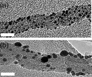 Bright field transmission electron micrographs of MWNT (a) with AuNP deposited on their surface before the treatment with scCO2 and (b) an intermediate sample before ripening has completed, taken after one hour of scCO2 treatment. Scale bar is 10 nm.