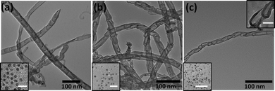 TEM micrographs of NCNCs synthesized from (a) octanoic acid-, (b) lauric acid-, and (c) oleic acid-capped FeNPs. Diameter distributions of NCNCs are observed to depend on catalyst particle size (shown lower left insets, scale bar 50 nm). Inset in (c) illustrates shape deformation from a conical “cup-like” structure (scale bar = 20 nm).