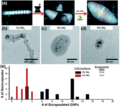 (a) Schematic illustration of stacked NCNC segment separation by mechanical grinding, followed by cross-linkage with 4% glutaraldehyde (GA) in the presence of gold nanoparticles (GNPs), resulting in encapsulated GNPs. TEM micrographs demonstrate the encapsulation of GNPs with cross-linked NCNCs for (b) 1%, (c) 5%, and (d) 9% NH3-synthesized NCNCs. (e) The corresponding bar graph shows the statistical distribution of encapsulated GNPs. 1% NH3-synthesized nanocapsules did not contain a significant number of encapsulated GNPs.