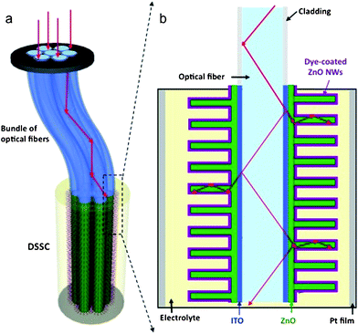 Design and principle of a three-dimensional DSSC. a) The 3D DSSC is composed of optical fibers and ZnO nanowires grown vertically on the fiber surface via an aqueous solution method. b) Detailed structure of the 3D DSSC. Adapted from ref. 141 with permission. Copyright Wiley-VCH Verlag GmbH & Co. KGaA, Weinheim 2009.