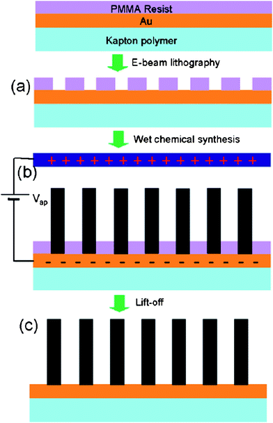 Process flow for lithography-based position-controlled ZnO nanorod array growth. Flexible Kapton polymer substrate is coated in a Au thin film and PMMA resist. (a) Desired density is defined using electron beam lithography, and the Au pattern is subsequently exposed during the developing step. (b) The patterned substrate is immersed in a nutrient solution bath and held at a −500 mV bias relative to the reference electrode. (c) The PMMA resist is finally removed in the lift-off step. Adapted from ref. 89 with permission. Copyright American Chemical Society 2007.