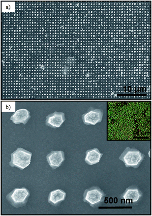 SEM images of large-scale ZnO nanorod array (a) low magnification and (b) high magnification. Inset is the optical micrograph of large-scale patterned ZnO nanorod array appearing green due to periodic spacing of 535 nm. Adapted from ref. 89 with permission. Copyright American Chemical Society 2007.