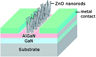 Schematic of ZnO nanorod-gated AlGaN/GaN high electron mobility transistors. Adapted from ref. 118 with permission. Copyright American Institute of Physics 2007.