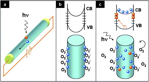 Photoconduction in nanowire photodetectors. (a) Schematic of a nanowire photoconductor. (b and c) Trapping and photoconduction mechanism in ZnO nanowires in dark (b) and under UV illumination (c): the top drawing shows the schematic of the energy band diagrams; the bottom drawing shows oxygen molecules adsorption or desorption state. Adapted from ref. 139 with permission. Copyright American Chemical Society 2007.