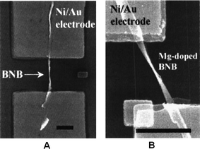 SEM images of boron nanowires after Ni/Au electrode fabrication. (A) A pure boron nanowire; and (B) a Mg-doped boron nanowire. Scale bar is 2 μm. Reproduced from ref. 107, copyright (2005) American Vacuum Society.