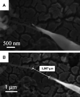 SEM images of the single boron nanowire during FE measurements. SEM images of the W probe and the single nanowire (A) before and (B) during the measurement. Reproduced from ref. 80, copyright (2005) Wiley-VCH.
