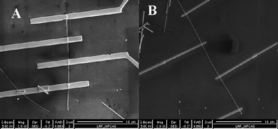 Typical SEM images of a boron nanowire device made by electron beam lithography (EBL) (A) and a nanowire device fabricated by focused ion beam (FIB) (B).