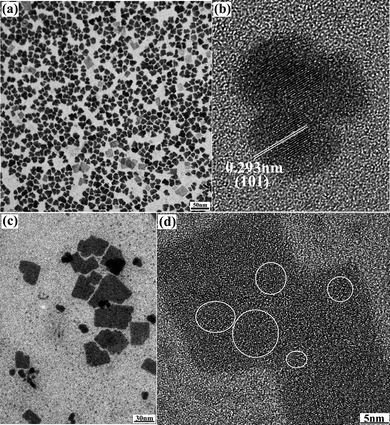 Transmission electron microscopy (TEM) images of SnS nanoflowers (a), HRTEM images of SnS nanoflowers (b), TEM images of SnS nanosheets (c) and HRTEM images of SnS nanosheets (d).