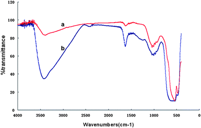 The FTIR spectra of (a) α-Fe2O3 nanotubes and (b) α-Fe2O3@SnO2 nanotubes.