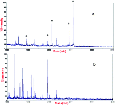 MALDI mass spectra of phosphopeptides enriched from β-casein and BSA with a ratio of 1 : 50 with (a) α-Fe2O3@SnO2 nanotubes, and (b) α-Fe2O3 nanotubes. * phosphopeptides, # the metastable losses of phosphoric acid.