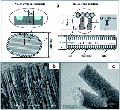 (a) Schematic paths of lithium-ions (Lion) and electrons (Le) for the mesoporous TiO2 microparticle and nanotube, respectively. (b) SEM of TiO2 nanotube arrays prepared by a supercritical CO2 drying process with AAO membranes as the template. (c) TEM image of individual nanotubes with ordered mesoporous wall structure (ref. 77).