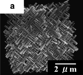 SEM image of SnO meshed plate (ref. 92).