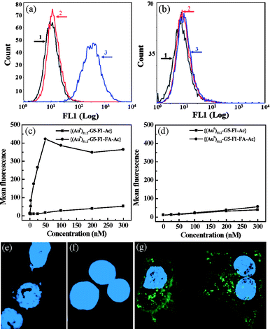 Flow cytometric and confocal microscopic studies of the binding of functionalized Au DENPs with KB cells. (a) and (b) binding of {(Au0)51.2-G5-FI-Ac} and {(Au0)51.2-G5-FI-FA-Ac} DENPs (25 nM) with KB cells with high- and low-levels of FAR, respectively. 1. PBS control; 2. {(Au0)51.2-G5-FI-Ac}; 3. {(Au0)51.2-G5-FI-FA-Ac}. (c) and (d) dose-dependent binding of {(Au0)51.2-G5-FI-Ac} and {(Au0)51.2-G5-FI-FA-Ac} DENPs with KB cells expressing high- and low-levels of FAR, respectively. (e)–(g) confocal microscopic images of KB cells with high-level FAR treated with PBS buffer (e), {(Au0)51.2-G5-FI-Ac} (25 nM) (f), and {(Au0)51.2-G5-FI-FA-Ac} (25 nM) (g) DENPs for 2 h, respectively. Ref. 55; copyright Wiley-VCH Verlag GmbH & Co. KGaA. Reproduced with permission.