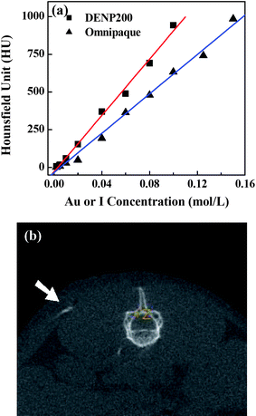 (a) X-Ray attenuation (HU) of DENP200 and Omnipaque as a function of the molar concentration of active element (Au or iodine). (b) A CT image of a mouse with 10 μL of DENP200 (0.02 mol L−1) subcutaneously injected into its back. The white arrow points to the Au DENPs injection region. Reprinted with permission from ref. 71. Copyright 2010 American Chemical Society.