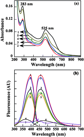 UV-Vis (a) and fluorescence (b) spectra of Au DSNPs. Curve 1, 2, 3, 4, and 5 correspond to {(Au0)6-G2·NH2}, {(Au0)12-G3.NH2}, {(Au0)24-G4.NH2}, {(Au0)57-G5·NH2}, and {(Au0)98-G6·NH2}, respectively. In (b), 6 and 7 indicate gold colloids with diameter of 5 and 100 nm, respectively. Reproduced from ref. 88 by permission of IOP Publishing Limited.