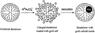 Dendrimer nanotemplating in aqueous solution. In the first step, the dendrimer is loaded with a precursor salt (H+AuCl4−), resulting in a charged dendrimer with the precursor as counterions. In the second step, the chemical reduction is performed which yields a colloid inside the dendrimer. Reprinted from Ref. 26. Not subject to US Copyright. Published 2000 American Chemical Society.