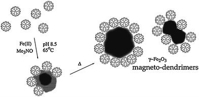 Schematic representation of the stabilization of maghemite nanoparticles by carboxyl-terminated PAMAM dendrimer (generation 4.5). Reprinted with permission from ref. 106. Copyright 2001 American Chemical Society.