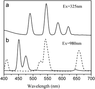 Fluorescence emission spectrum of NaYF4 : Yb,Er@Si-DTPA-4-AS-Tb nanoparticles excited by a UV lamp at 325 nm (a) and up-conversion fluorescence spectra of NaYF4 : Yb,Er@Si-DTPA-4-AS-Tb (solid line) and NaYF4 : Yb,Tm@Si-DTPA-4-AS (dot line) nanoparticles excited by a NIR laser at 980 nm (b).