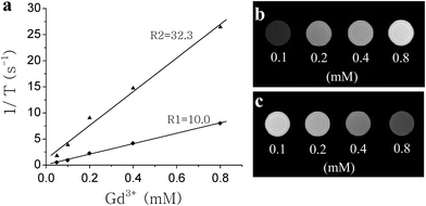 Longitudinal (R1) and transverse (R2) relaxivities of NaYF4 : Yb,Er@Si-DTPA-4-AS-Gd3+ nanoparticles (a) and T1-weighted (TR = 400 ms, TE = 8 ms) (b) and T2-weighted (TR = 3000 ms, TE = 16 ms) (c) MR images of aqueous NaYF4 : Yb,Er@Si-DTPA-4-AS-Gd3+ nanoparticles solution with different Gd3+ concentrations.