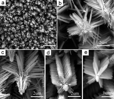 SEM images show (a) the top-view of a complex ZnO array grown at 100 °C with en concentration of 3.75 mol L−1 and (b)–(e) several unique individual ZnO crystalline trees. The fine ternary branches grown from the secondary branches with the specific angle 108° can be observed. These top structures become more exquisite from (e) to (b).