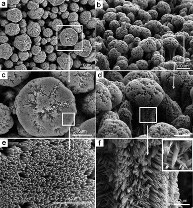 SEM images of the complex ZnO crystals prepared from the medium with en concentration of 11.25 mol L−1 at 100 °C. The top view (left panel) shows that the hexagonal-like top of an individual ZnO complex comprises closely packed nanowires. The side view (right panel) reveals the densely packed mushroom-like ZnO complex arrays and bushy branches on the side surface.