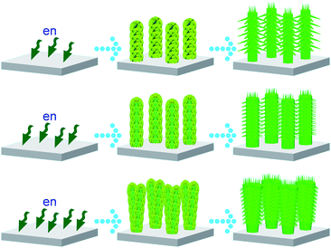 The effect of en concentration on the growth of hierarchical ZnO nanostructured arrays. The en concentrations increase from the first row to the third one.