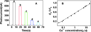(A) Effect of different concentrations of Cu2+ on the photocurrent intensity of ITO/(PDDA/CdS) electrode: (a) 8.0 × 10−8 M, (b) 5.0 × 10−7 M, (c) 2.0 × 10−6 M and (d) 1.0 × 10−5 M. (B) Plot of photocurrent decrease [(I0 − I)/I0] of CdS QDs versus log [Cu2+].