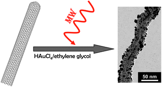 Au nanoparticles synthesized by the polyol method on the surface of CNTs. TEM image reproduced with permission from ref. 70. Copyright (2006) American Chemical Society.