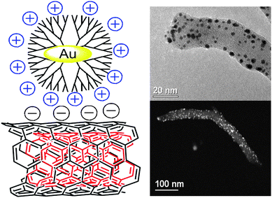 Au nanoparticles encapsulated within sixth-generation PAMAM dendrimers on the surface of MWNTs. Scheme and TEM images reproduced with permission from ref. 88. Copyright (2010) American Chemical Society.