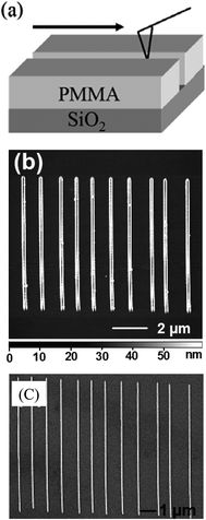 (a) Schematic showing nanoscratching of PMMA by an AFM tip. (b) AFM image of the grooves in the polymer. (c) SEM image of Au nanowires formed by depositing metal into the grooves and lift-off of PMMA in acetone (from ref. 19).