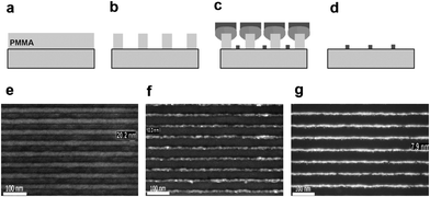 (a) PMMA is spin coated, exposed to an optical field having nanometric interference patterns and developed. (b) After development, PMMA lines with 50 nm period were obtained. (c) The shadow deposition of Cr is followed by normal deposition of Cr and/or Au, and (d) all the stack is lifted-off. (e) PMMA lines after the development., SEM images of (f) the resulting Cr-MNGP (linewidth, 10 nm) and (g) Au-MNGP (8 nm). In e,f and g, the spacing is 50 nm (from ref. 50).