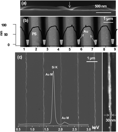 (a) Cross-section SEM image showing the nanogroove formation in polystyrene, (b) AFM image showing bright stripes gradually fading into dark grooves, and the z-profile of the pattern. (c) SEM image of a Au-MNGP formed by physical vapor deposition of the metal onto the polystyrene pattern followed by lift-off of the polymer in toluene. The EDS spectrum shows the Au M signal. AFM image of a single Au nanowire is shown alongside (from ref. 69).