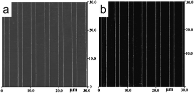 Conductance properties of Au-MNGP fabricated by nanotransfer edge printing. (a) AFM topography image and (b) the current map (from ref. 68).