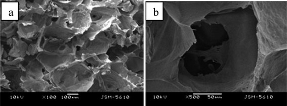 SEM images of modified HA/SF porous composite scaffolds with different magnification. Reprinted with permission from ref. 62.