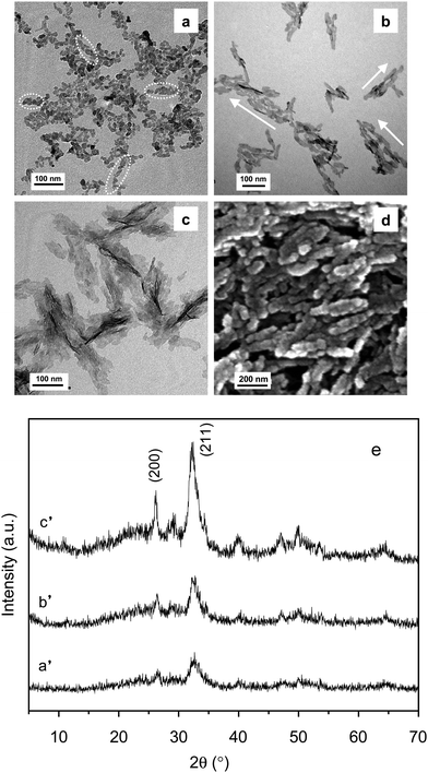 TEM images of HA crystals in the presence of SS after different mineralization times: (a) 0 min; (b) 20 min; (c) 60 min. (d) SEM images of sample (c); and (e) XRD patterns of the above-mentioned samples; a′, b′, c′ correspond to the a, b and c samples, respectively. Reprinted with permission from ref. 70.