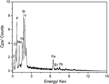 The EDS analysis of Fe3O4/NaYF4 nanocomposites.