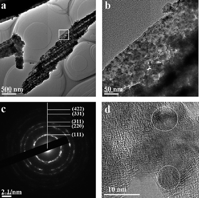 HRTEM results of nano-CdS/wing (E. mulciber) dispersed in ethanol by ultrasonic agitation. (a) The fragment corresponding to a single ridge in Fig. 1b, (b) magnified lamellar as indicated by a white frame in (a), (c) SAED patterns indexed according to JCPDS cards 89-0440, (d) shaken nano-CdS.