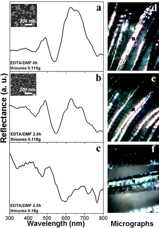 The reflection spectra (a–c) of nano-CdS/feathers (red) at normal incidence and normal reflection with different nano-CdS loading amounts (a < b < c). The detection area of each spectrum is monitored in real time and is shown by a black square (20∼30μm) in the micrograph displayed on the right side (d–f). Experimental conditions are indicated in the bottom-left in (a–c). Insets in (a) and (b) present corresponding FESEM images.