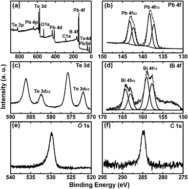 (a) XPS survey scan of the as-synthesized Pb0.99Bi0.01Te nanoparticles. (b)–(f) High-resolution XPS spectra of respective Pb4f, Te3d, Bi4f, O1s and C1s regions of the Pb0.99Bi0.01Te nanoparticles.